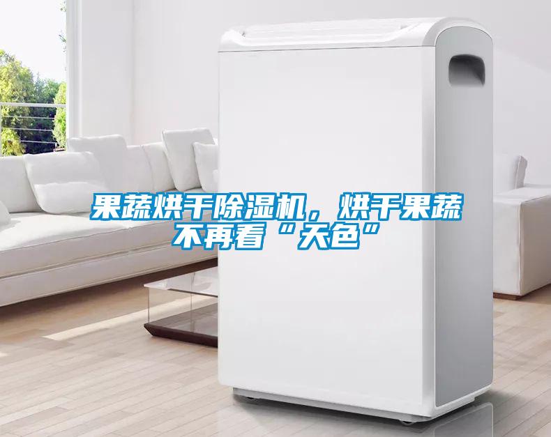 果蔬烘干除濕機(jī)，烘干果蔬不再看“天色”