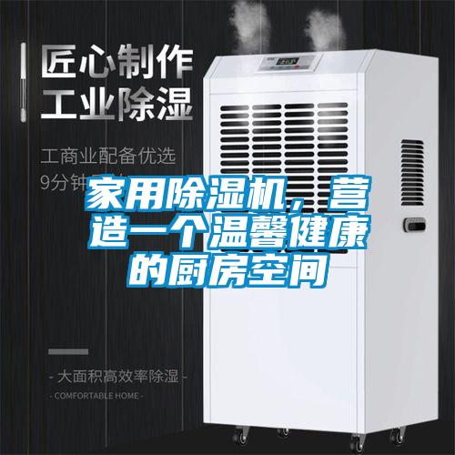 家用除濕機(jī)，營(yíng)造一個(gè)溫馨健康的廚房空間