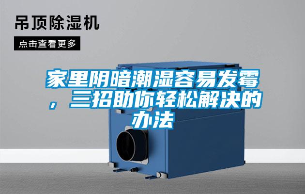 家里陰暗潮濕容易發(fā)霉，三招助你輕松解決的辦法