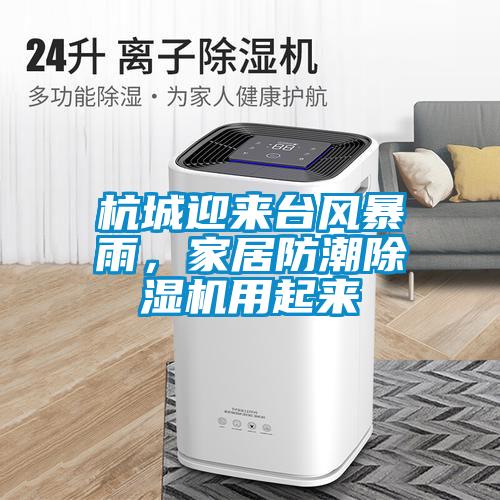 杭城迎來臺(tái)風(fēng)暴雨，家居防潮除濕機(jī)用起來