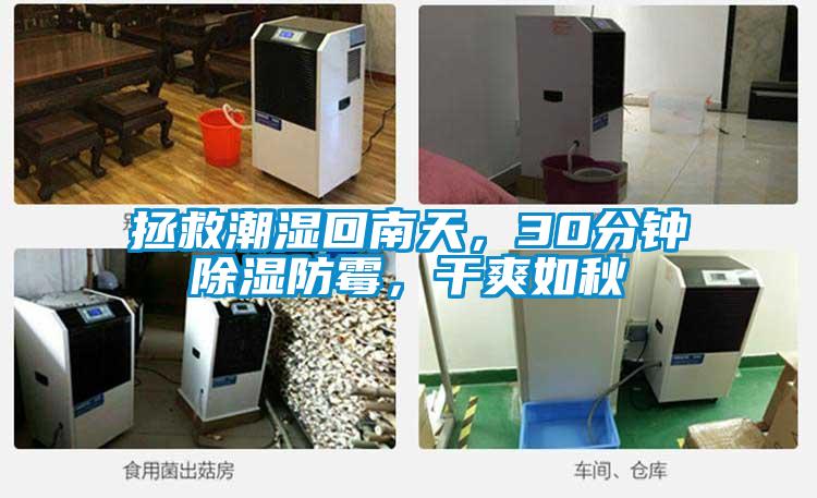 拯救潮濕回南天，30分鐘除濕防霉，干爽如秋