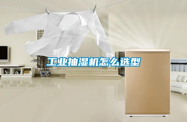 工業(yè)抽濕機怎么選型
