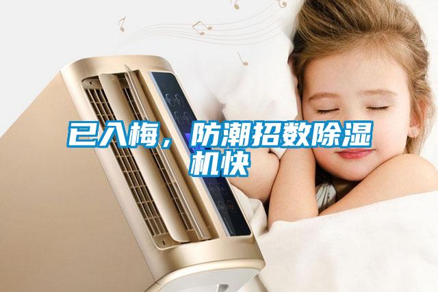 已入梅，防潮招數(shù)除濕機快