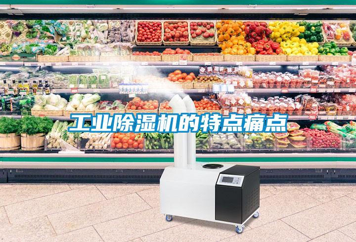 工業(yè)除濕機的特點痛點