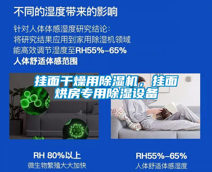 掛面干燥用除濕機(jī)，掛面烘房專用除濕設(shè)備