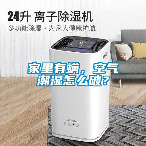 家里有螨，空氣潮濕怎么破？
