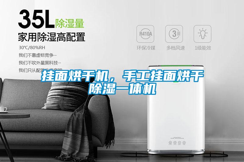 掛面烘干機，手工掛面烘干除濕一體機