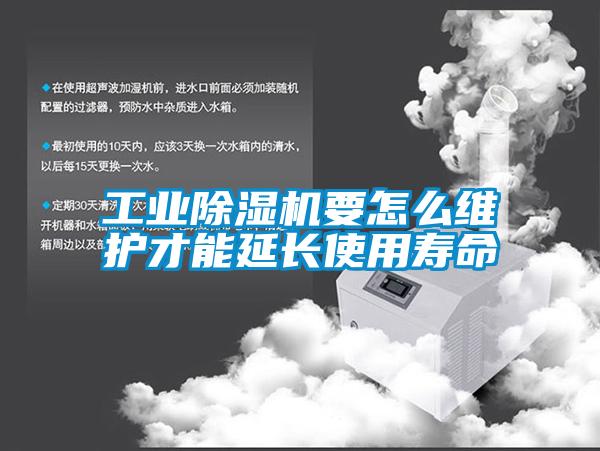 工業(yè)除濕機(jī)要怎么維護(hù)才能延長使用壽命