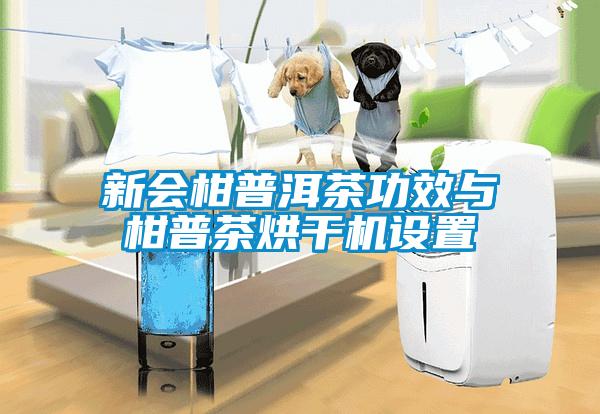 新會(huì)柑普洱茶功效與柑普茶烘干機(jī)設(shè)置