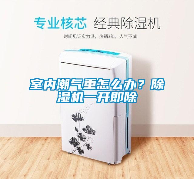 室內(nèi)潮氣重怎么辦？除濕機一開即除