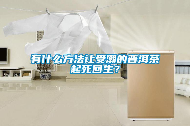 有什么方法讓受潮的普洱茶起死回生？