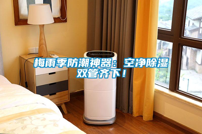 梅雨季防潮神器：空凈除濕雙管齊下！