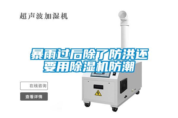 暴雨過后除了防洪還要用除濕機防潮