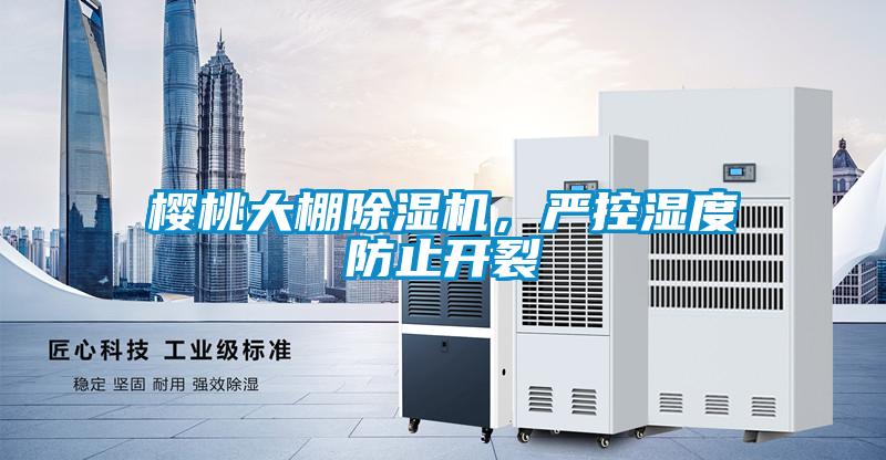 櫻桃大棚除濕機(jī)，嚴(yán)控濕度防止開裂