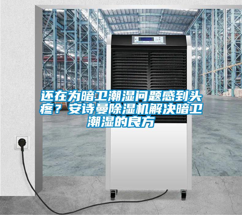 還在為暗衛(wèi)潮濕問題感到頭疼？安詩曼除濕機解決暗衛(wèi)潮濕的良方