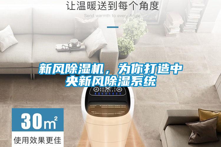 新風(fēng)除濕機(jī)，為你打造中央新風(fēng)除濕系統(tǒng)