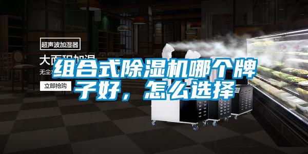 組合式除濕機(jī)哪個牌子好,怎么選擇