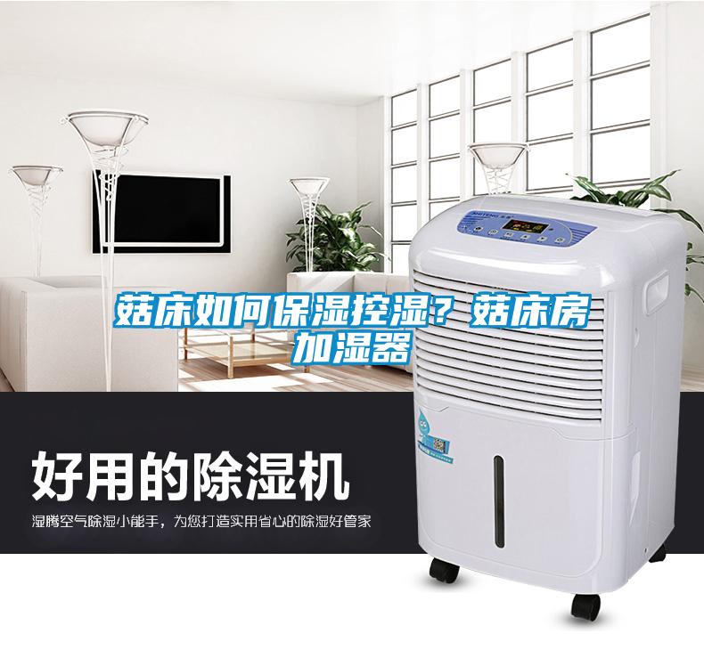 菇床如何保濕控濕？菇床房加濕器