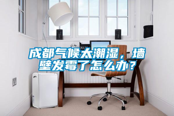 成都?xì)夂蛱睗?，墻壁發(fā)霉了怎么辦？
