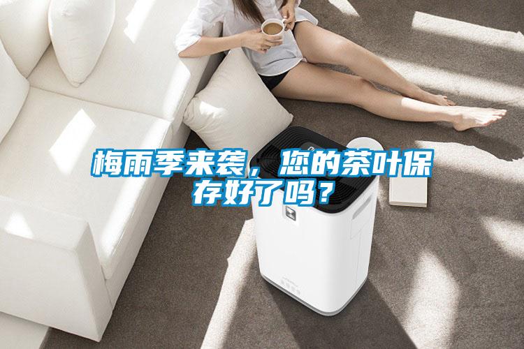 梅雨季來(lái)襲，您的茶葉保存好了嗎？