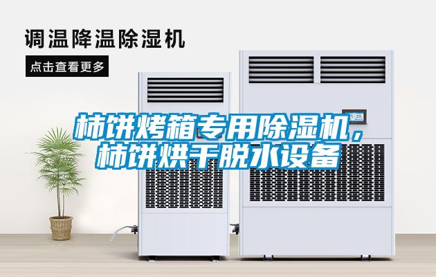 柿餅烤箱專用除濕機(jī)，柿餅烘干脫水設(shè)備