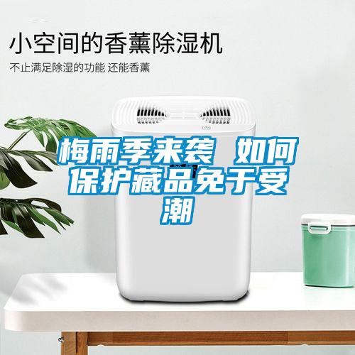梅雨季來(lái)襲 如何保護(hù)藏品免于受潮