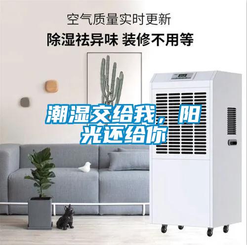潮濕交給我,陽(yáng)光還給你