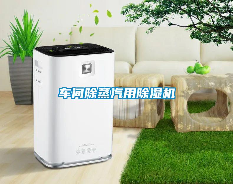 車(chē)間除蒸汽用除濕機(jī)