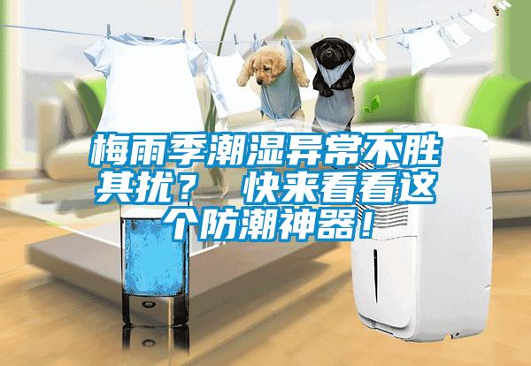 梅雨季潮濕異常不勝其擾？ 快來(lái)看看這個(gè)防潮神器！