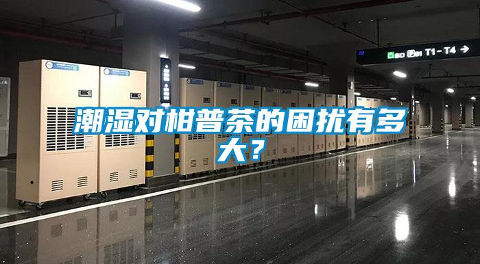 潮濕對(duì)柑普茶的困擾有多大？