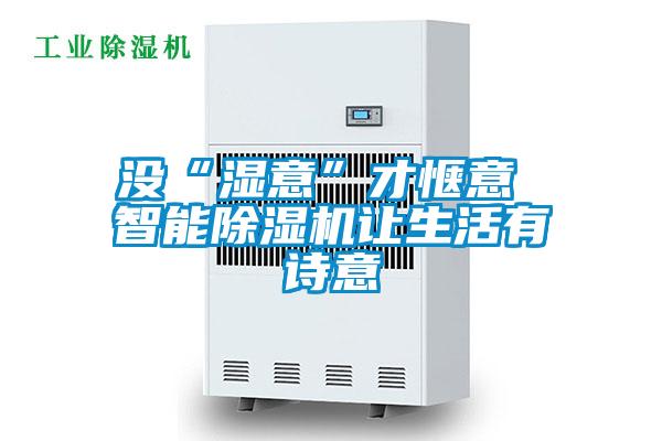 沒(méi)“濕意”才愜意 智能除濕機(jī)讓生活有詩(shī)意
