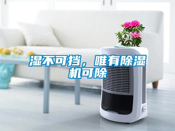 濕不可擋，唯有除濕機可除