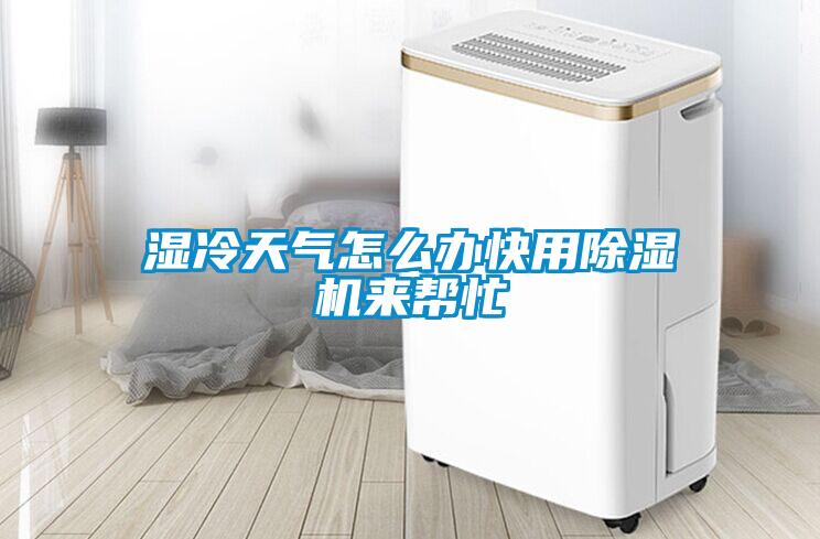 濕冷天氣怎么辦快用除濕機(jī)來幫忙