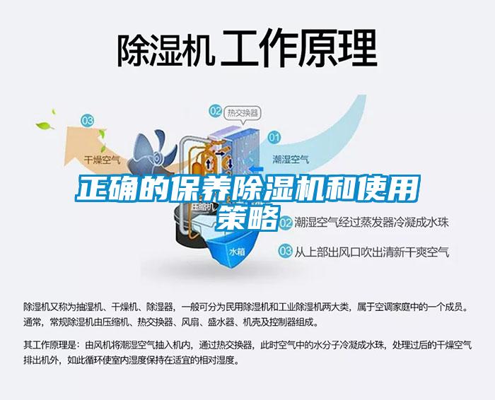 正確的保養(yǎng)除濕機和使用策略