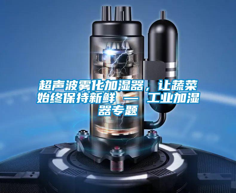 超聲波霧化加濕器，讓蔬菜始終保持新鮮 — 工業(yè)加濕器專題