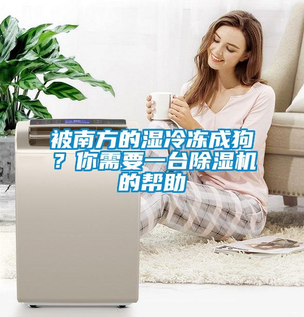 被南方的濕冷凍成狗？你需要一臺除濕機的幫助