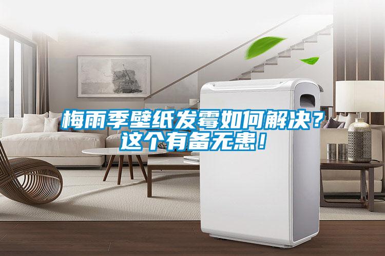 梅雨季壁紙發(fā)霉如何解決？這個有備無患！