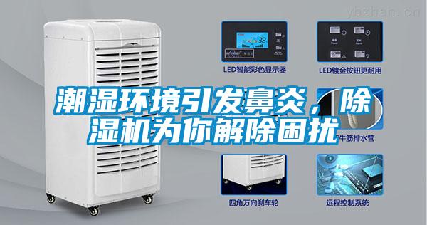 潮濕環(huán)境引發(fā)鼻炎，除濕機為你解除困擾