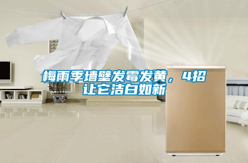 梅雨季墻壁發(fā)霉發(fā)黃，4招讓它潔白如新