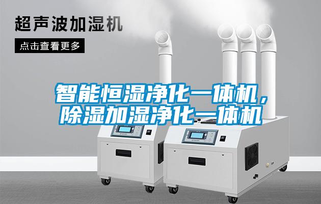 智能恒濕凈化一體機(jī)，除濕加濕凈化一體機(jī)
