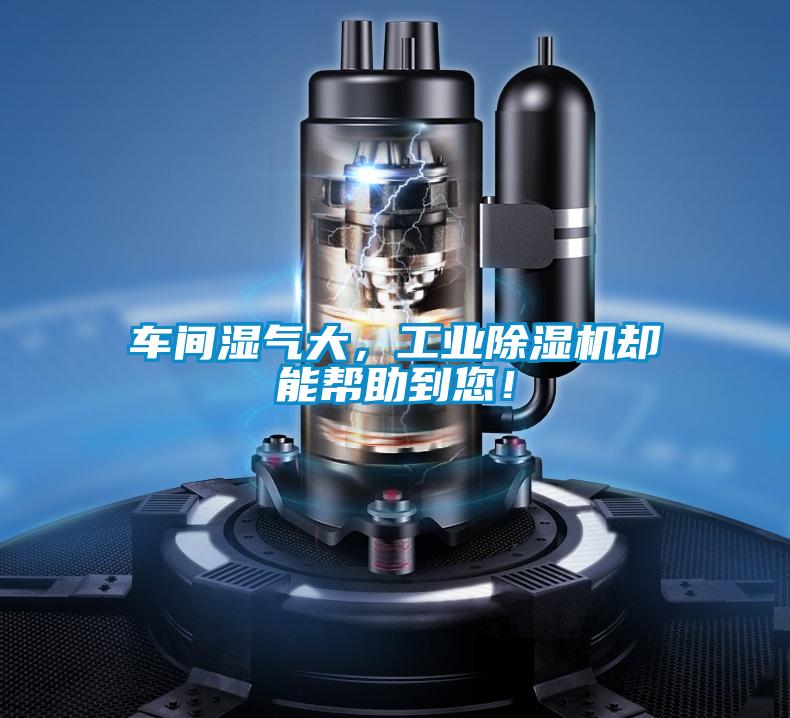 車間濕氣大，工業(yè)除濕機卻能幫助到您！