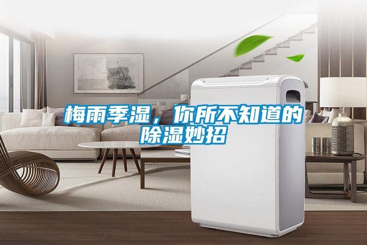 梅雨季濕，你所不知道的除濕妙招