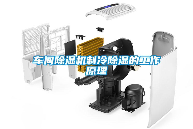 車間除濕機(jī)制冷除濕的工作原理