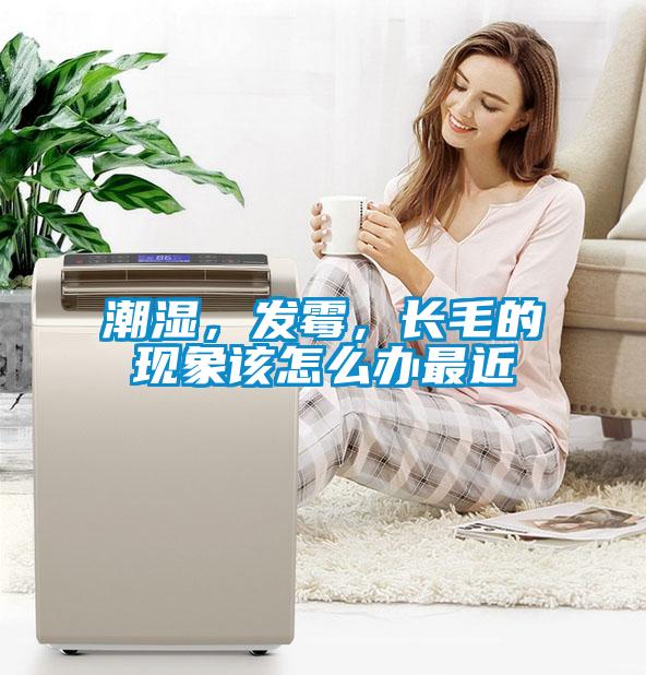 潮濕，發(fā)霉，長毛的現(xiàn)象該怎么辦最近
