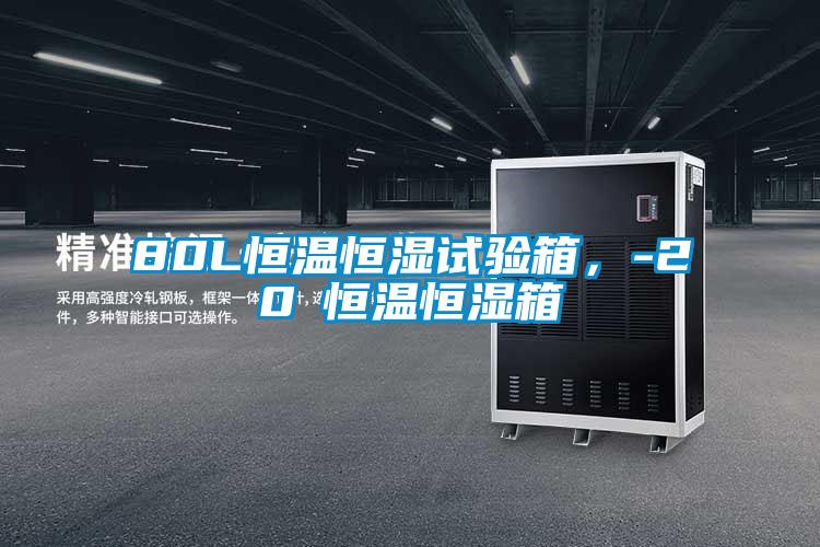 80L恒溫恒濕試驗(yàn)箱，-20℃恒溫恒濕箱