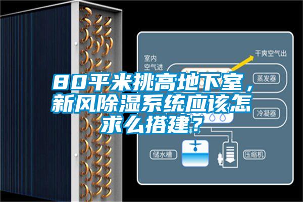 80平米挑高地下室，新風除濕系統(tǒng)應(yīng)該怎求么搭建？