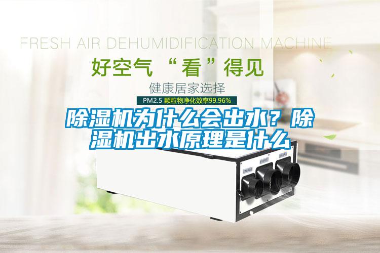 除濕機(jī)為什么會(huì)出水？除濕機(jī)出水原理是什么