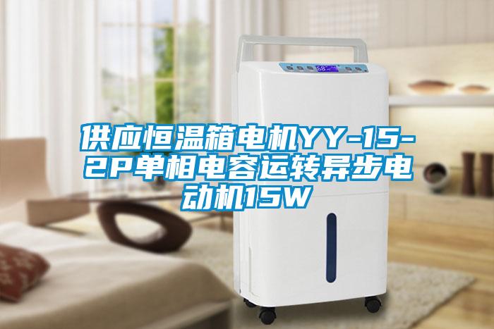 供應恒溫箱電機YY-15-2P單相電容運轉(zhuǎn)異步電動機15W