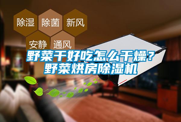 野菜干好吃怎么干燥？野菜烘房除濕機(jī)