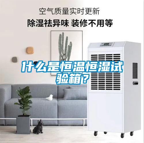 什么是恒溫恒濕試驗(yàn)箱？